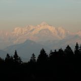 Le Taïjiquan de Cheng Man Ching : la voie de la douceur